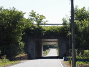 和歌山別街道（伊勢自動車道との交差）