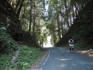 和歌山別街道（丹生と長谷の境界付近）