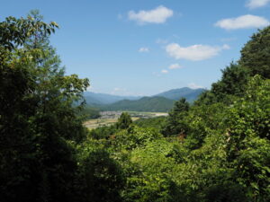 近長谷寺の駐車場へと続く林道にて