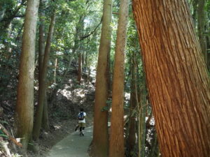 駐車場から近長谷寺への参道