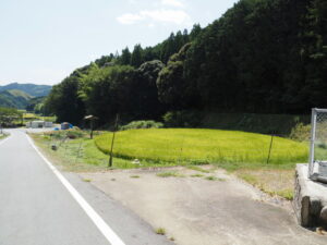 長谷の車田（多気町長谷）