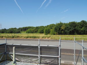 伊勢南北幹線道路脇のお花畑展望台？