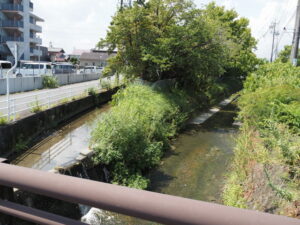 松阪市桜町にて