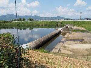 井村橋〜大村橋の間にあるゴム引布製起伏堰（阪内川）