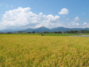 松阪市大足町にて