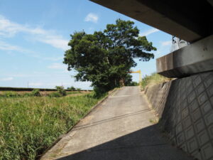 外城田川の左岸（近鉄山田線の下にて）