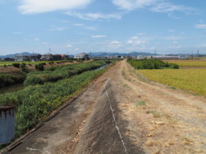 外城田川の左岸（蒔種橋〜鎌地田橋）