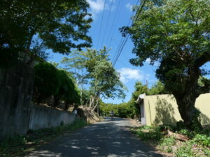 ［550ｍ］〜金刀比羅宮鳥羽分社の光景