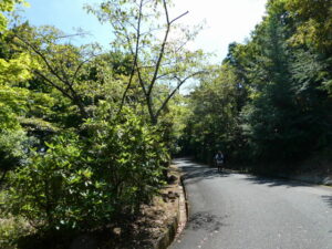 ［550ｍ］〜金刀比羅宮鳥羽分社の光景