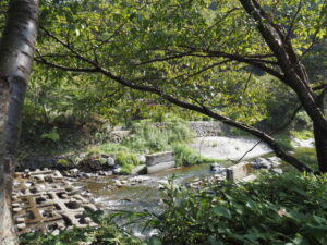 橋脚のみが残された八瀬比叡山口駅付近の木造橋（高野川）