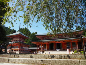 東塔と阿弥陀堂（延暦寺）