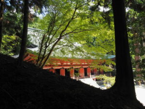 鐘楼付近から望む釈迦堂（延暦寺）