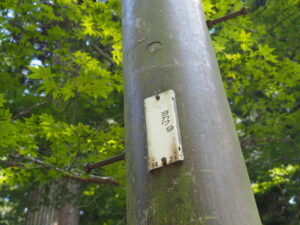 電柱番号板（延暦寺横川地域）