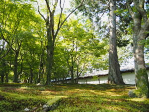 東福寺にて