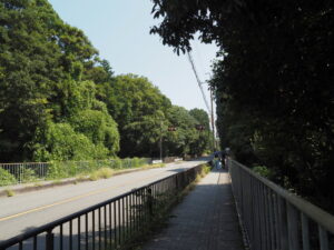 乃木神社の交差点付近