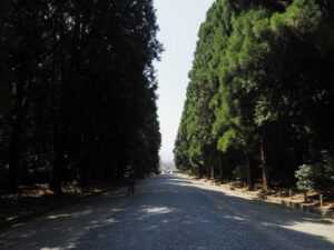 桃山陵墓の参道