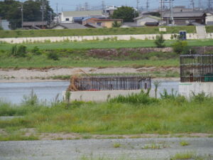 漂流物が絡む建設中のP5橋脚（宮川橋架け替え工事現場）