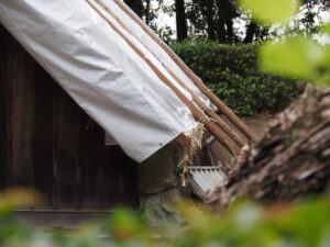 これから萱が葺き替えられる御塩焼所（御塩殿神社）