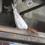 伊勢街道沿いで見かけた赤崎神社の御神杉（伊勢市宮川）