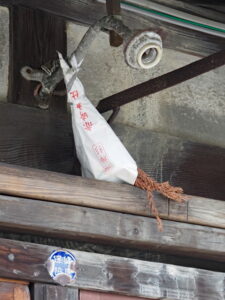 伊勢街道沿いで見かけた赤崎神社の御神杉（伊勢市宮川）