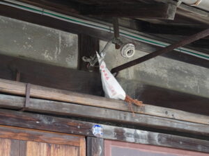 伊勢街道沿いで見かけた赤崎神社の御神杉（伊勢市宮川）