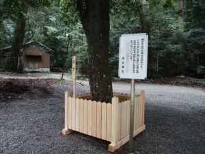 造替された梛の木の御垣（丹生神社）