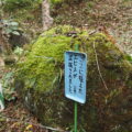 波瀬植物園（飯高町波瀬）