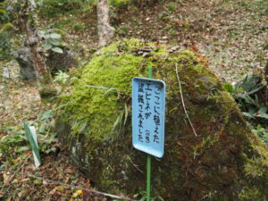 波瀬植物園（飯高町波瀬）