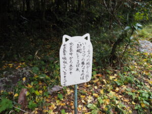 波瀬植物園（飯高町波瀬）