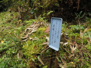 波瀬植物園（飯高町波瀬）