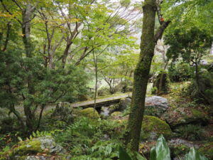 波瀬植物園（飯高町波瀬）