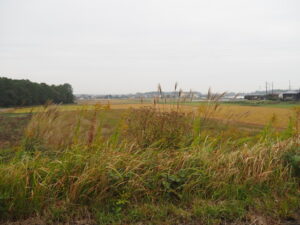 多気郡明和町明星の風景