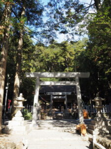 新嘗祭及び中遷座奉祝祭（丹生神社）