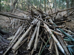 取り替えられた御塩焼所の萱葺き下地であった竹組（御塩殿神社）