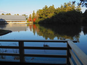 東屋から望む勾玉池の紅葉