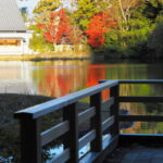 東屋から望む勾玉池の紅葉