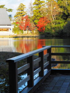 東屋から望む勾玉池の紅葉