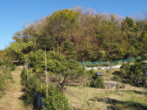 須麻留売神社旧地（多気町平谷）