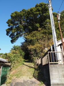 須麻留売神社旧地へと続く坂道（多気町平谷）