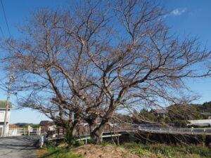 佐奈川に架かる西山橋付近