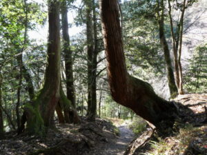 奥の院魔王殿〜西門（鞍馬寺）