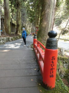 大杉並木（貴船神社）