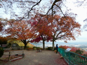 男山展望台（石清水八幡宮）