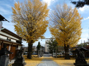 與杼神社にて（京都市伏見区淀本町）