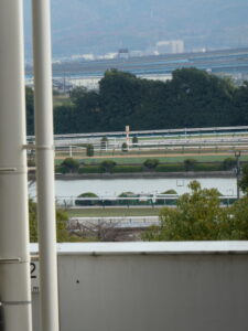 京阪本線 淀駅から望む京都競馬場