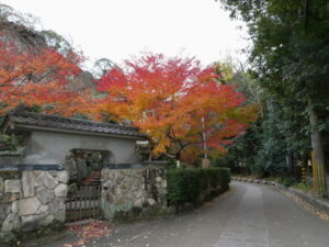 さわらびの道にて