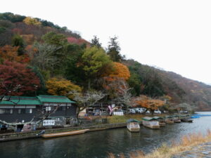 嵐山公園 中之島地区から望む紅葉