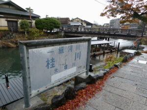 桂川（櫟谷宗像神社付近）