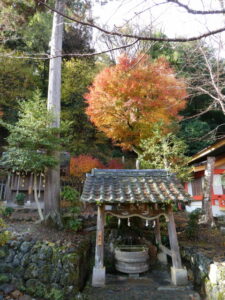 神泉（松尾大社）