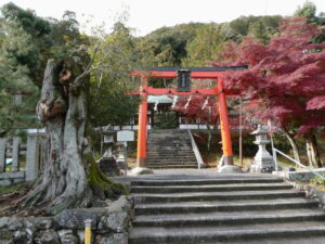 月讀神社（松尾大社の摂社）